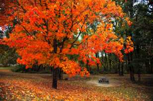 The Picnic Table-7687.jpg The Picnic Table-7687.jpg